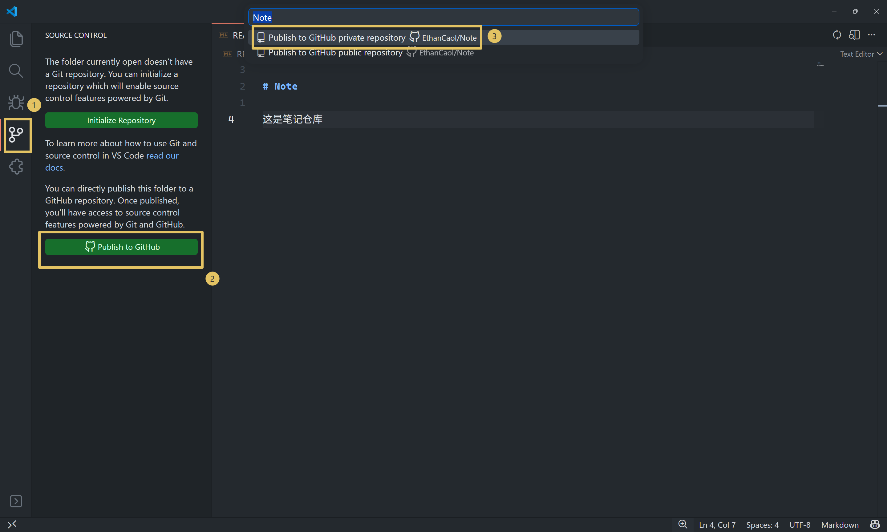 源代码管理面板里的 Initialize Repository 和 Publish to GitHub，以及命令面板里 private / public 两项